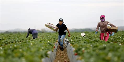 workers in field Blank Meme Template