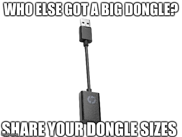 Personally I have a big one what about yours? | WHO ELSE GOT A BIG DONGLE? SHARE YOUR DONGLE SIZES | image tagged in dongle | made w/ Imgflip meme maker