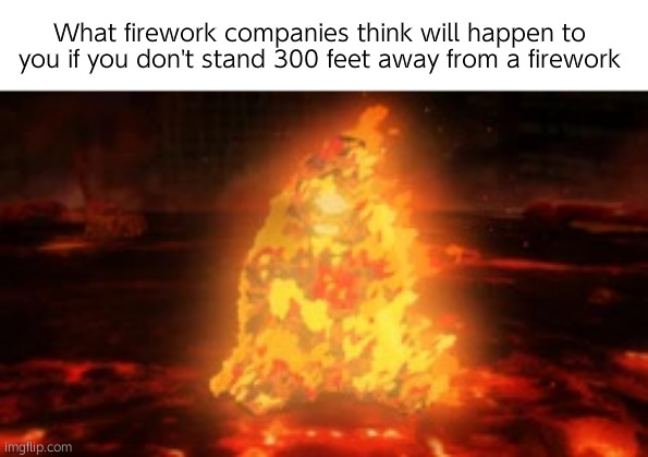 Even the damn morning glories | What firework companies think will happen to you if you don't stand 300 feet away from a firework | image tagged in jogoat burning | made w/ Imgflip meme maker