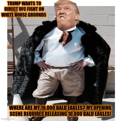 Trumps new bucket list ~ Direct a UFC fight on White House grounds. | TRUMP WANTS TO DIRECT UFC FIGHT ON WHITE HOUSE GROUNDS; WHERE ARE MY 10,000 BALD EAGLES? MY OPENING SCENE REQUIRES RELEASING 10,000 BALD EAGLES! | image tagged in trump,thinking,ufc,white house,fighting,oh come on | made w/ Imgflip meme maker
