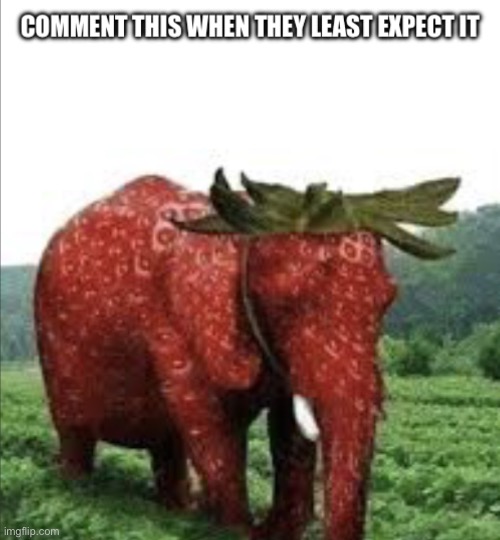 Comment this when they least expect it | image tagged in comment this when they least expect it | made w/ Imgflip meme maker