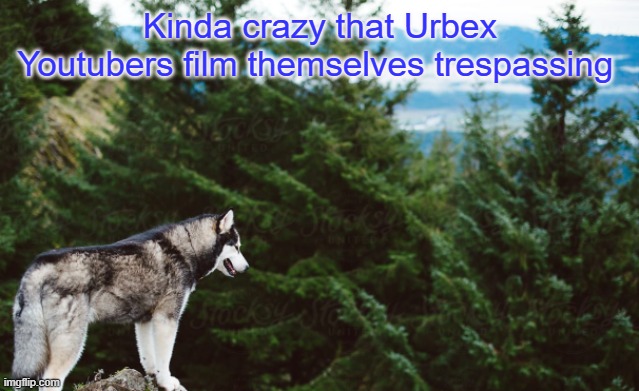 Husky | Kinda crazy that Urbex Youtubers film themselves trespassing | image tagged in husky | made w/ Imgflip meme maker
