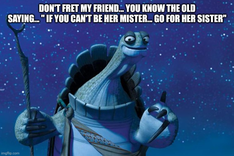 Master Oogway | DON'T FRET MY FRIEND... YOU KNOW THE OLD SAYING... " IF YOU CAN'T BE HER MISTER... GO FOR HER SISTER" | image tagged in master oogway | made w/ Imgflip meme maker