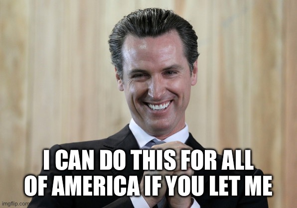Scheming Gavin Newsom  | I CAN DO THIS FOR ALL OF AMERICA IF YOU LET ME | image tagged in scheming gavin newsom | made w/ Imgflip meme maker