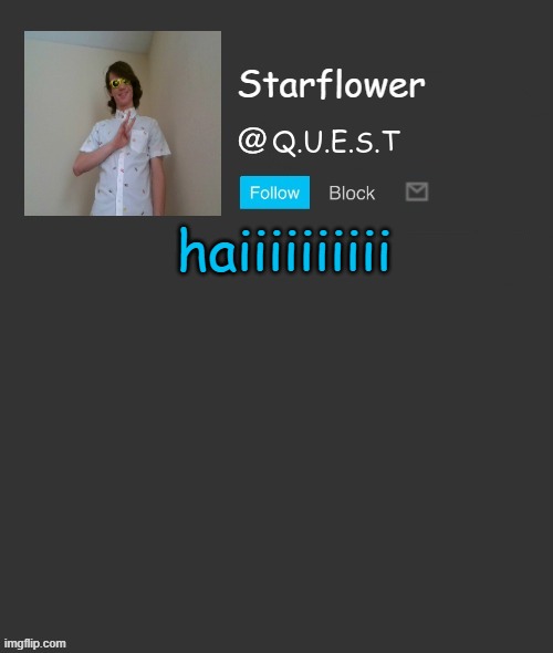 Starflower quest template | haiiiiiiiiii | image tagged in starflower quest template | made w/ Imgflip meme maker