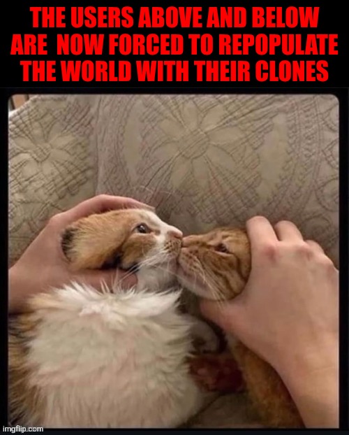 Forced Cat Kiss | THE USERS ABOVE AND BELOW ARE  NOW FORCED TO REPOPULATE THE WORLD WITH THEIR CLONES | image tagged in forced cat kiss | made w/ Imgflip meme maker