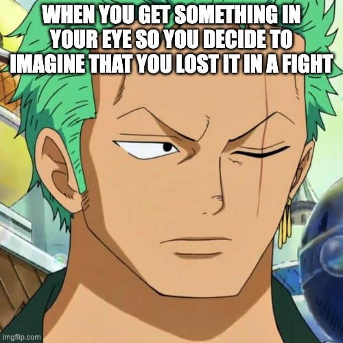Can anyone relate? | WHEN YOU GET SOMETHING IN YOUR EYE SO YOU DECIDE TO IMAGINE THAT YOU LOST IT IN A FIGHT | image tagged in zoro | made w/ Imgflip meme maker