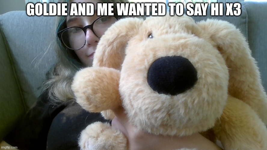 Hewwo | GOLDIE AND ME WANTED TO SAY HI X3 | image tagged in hi | made w/ Imgflip meme maker