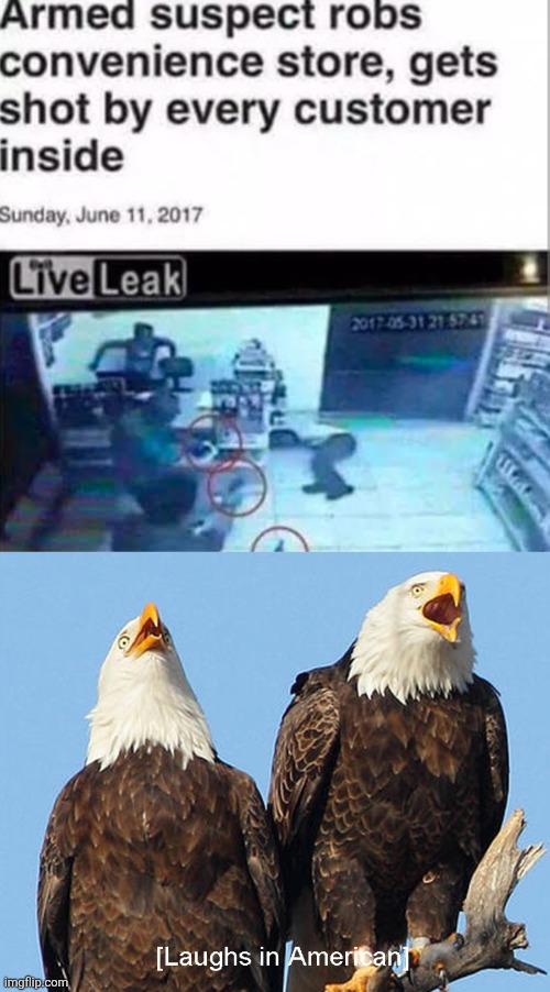 Happy 4th of July part 2 | image tagged in laughs in american,guns,instant karma | made w/ Imgflip meme maker
