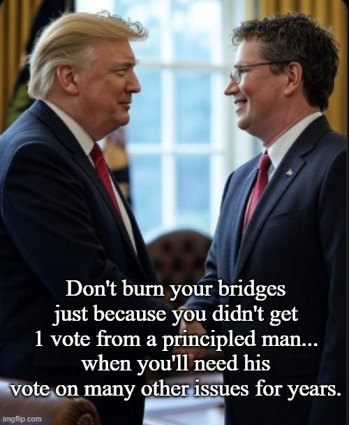 Keep your allies | Don't burn your bridges just because you didn't get 1 vote from a principled man...
when you'll need his vote on many other issues for years. | image tagged in donald trump,conservatives | made w/ Imgflip meme maker