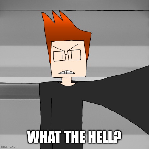 MC (Moscovio May) after being called Male Cara by a fan: | WHAT THE HELL? | image tagged in mc selfie angry official drawing version,mc,comics,moscovio may | made w/ Imgflip meme maker