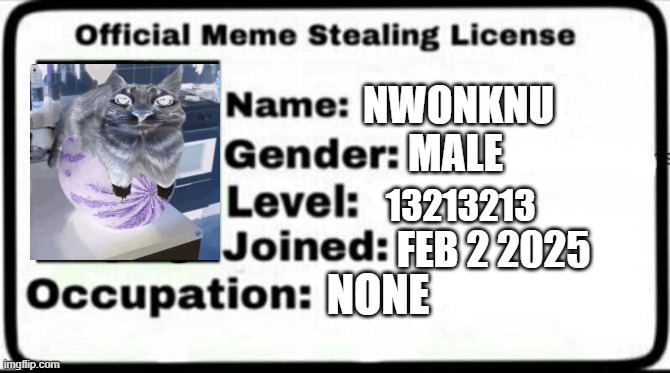meme stealing liceense | NWONKNU; MALE; 13213213; FEB 2 2025; NONE | image tagged in meme stealing license | made w/ Imgflip meme maker