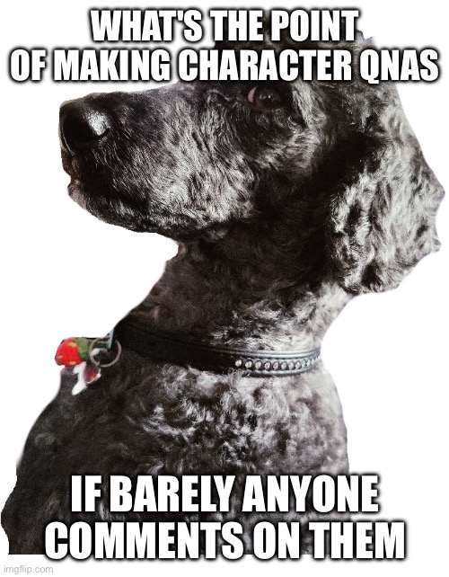 Why | WHAT'S THE POINT OF MAKING CHARACTER QNAS; IF BARELY ANYONE COMMENTS ON THEM | image tagged in disappointed dog | made w/ Imgflip meme maker