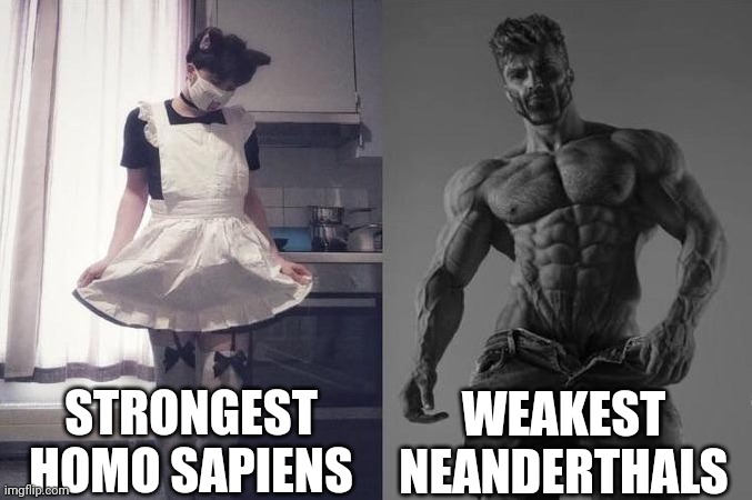 Homo Sapiens vs Neanderthals | STRONGEST HOMO SAPIENS; WEAKEST NEANDERTHALS | image tagged in strongest fan vs weakest fan,neanderthal,human,memes,homo sapiens,charles darwin | made w/ Imgflip meme maker