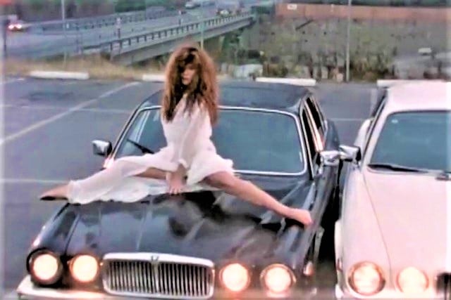 High Quality Tawny Kitaen Jaguar Blank Meme Template