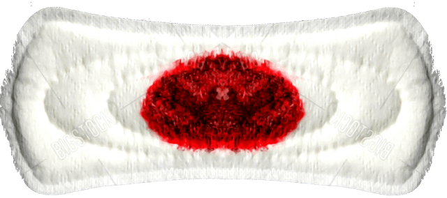 japan flag Blank Meme Template