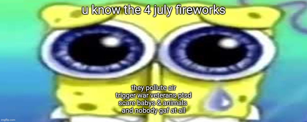 im not sure | u know the 4 july fireworks; they pollute air
trigger war veterans ptsd
scare babys & animals 
and nobody gaf at all | image tagged in sad spong | made w/ Imgflip meme maker