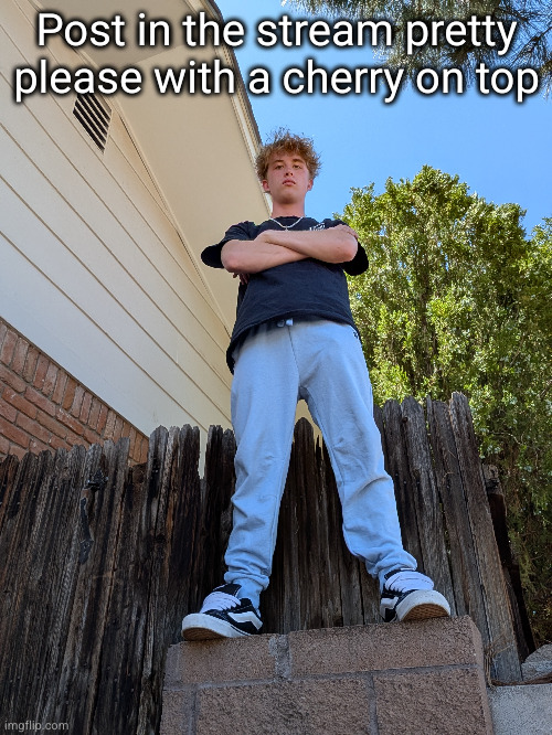 why am I standing here don't ask | Post in the stream pretty please with a cherry on top | image tagged in face reveal,streams,thank you | made w/ Imgflip meme maker