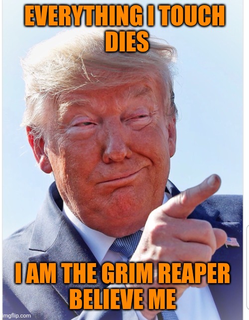 Trump pointing | EVERYTHING I TOUCH
 DIES I AM THE GRIM REAPER 
BELIEVE ME | image tagged in trump pointing | made w/ Imgflip meme maker