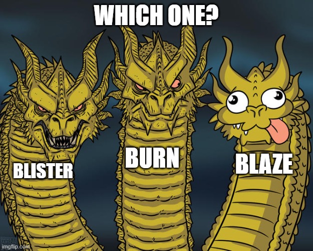 LOL | WHICH ONE? BURN; BLAZE; BLISTER | image tagged in three-headed dragon | made w/ Imgflip meme maker