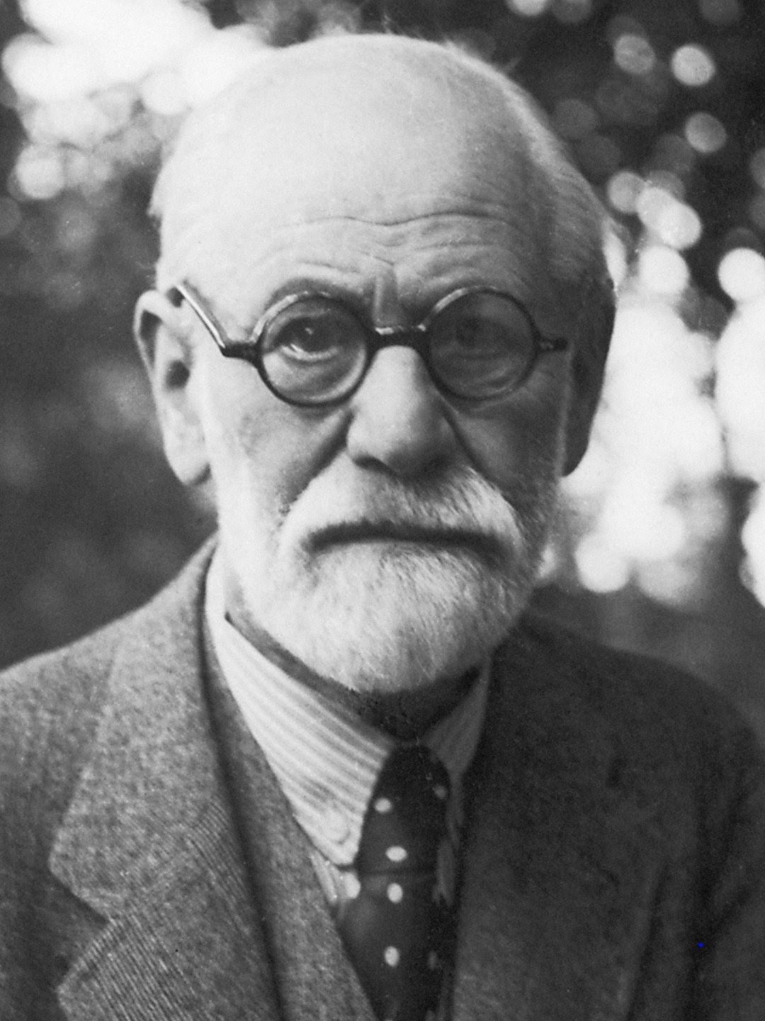 Freud Blank Meme Template