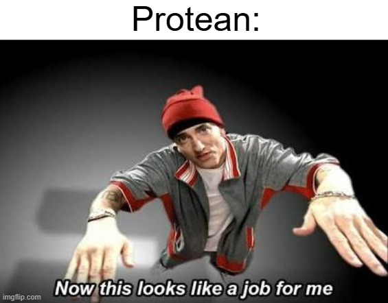 Protean: | image tagged in now this looks like a job for me | made w/ Imgflip meme maker