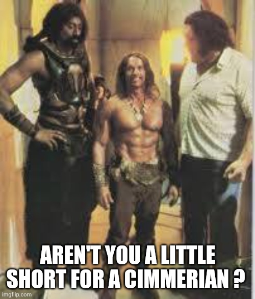 Conan short | AREN'T YOU A LITTLE SHORT FOR A CIMMERIAN ? | image tagged in conan the barbarian | made w/ Imgflip meme maker