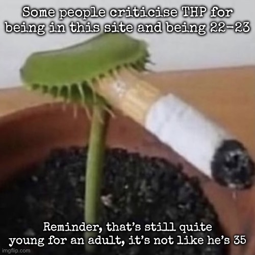 plant weeds | Some people criticise THP for being in this site and being 22-23; Reminder, that’s still quite young for an adult, it’s not like he’s 35 | image tagged in plant weeds,msmg | made w/ Imgflip meme maker