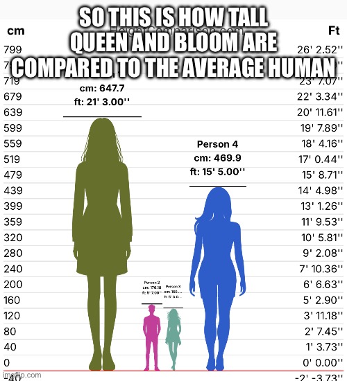 T A L L | SO THIS IS HOW TALL QUEEN AND BLOOM ARE COMPARED TO THE AVERAGE HUMAN | made w/ Imgflip meme maker