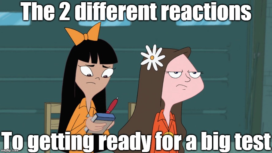 Stacy and Jenny's reactions | The 2 different reactions; To getting ready for a big test | image tagged in phineas and ferb | made w/ Imgflip meme maker