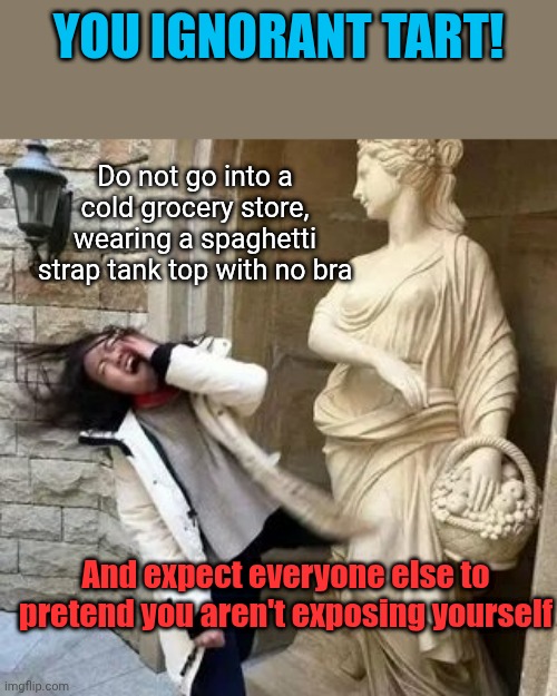 Ignorant tart | YOU IGNORANT TART! Do not go into a cold grocery store, wearing a spaghetti strap tank top with no bra; And expect everyone else to pretend you aren't exposing yourself | image tagged in statue slap | made w/ Imgflip meme maker
