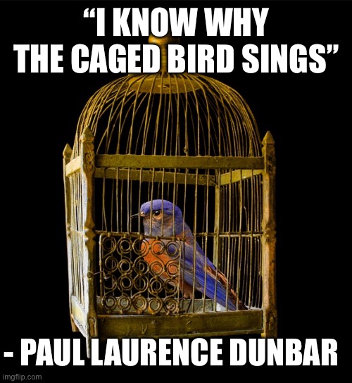 Financial slavery | “I KNOW WHY THE CAGED BIRD SINGS”; - PAUL LAURENCE DUNBAR | image tagged in memes | made w/ Imgflip meme maker