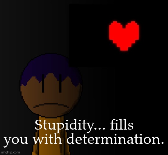 brother | Stupidity... fills you with determination. | image tagged in brother | made w/ Imgflip meme maker