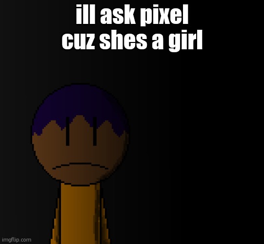 brother | ill ask pixel cuz shes a girl | image tagged in brother | made w/ Imgflip meme maker