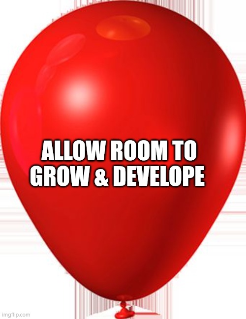 Allow room to grow and develope | ALLOW ROOM TO GROW & DEVELOPE | image tagged in balloon,growth | made w/ Imgflip meme maker