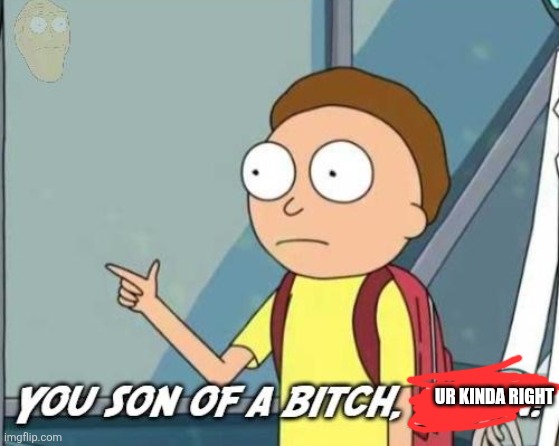 You son of a bitch, I'm in! | UR KINDA RIGHT | image tagged in you son of a bitch i'm in | made w/ Imgflip meme maker