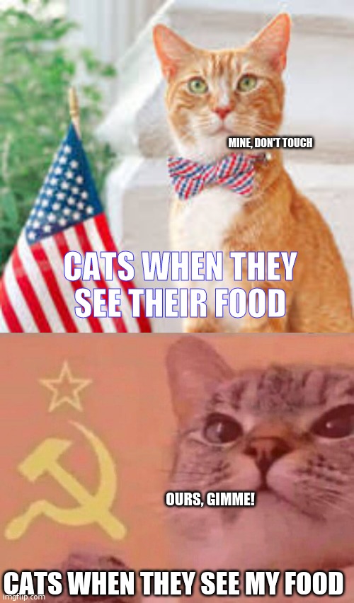 MINE, DON'T TOUCH; CATS WHEN THEY SEE THEIR FOOD; OURS, GIMME! CATS WHEN THEY SEE MY FOOD | image tagged in american cat,communist cat | made w/ Imgflip meme maker