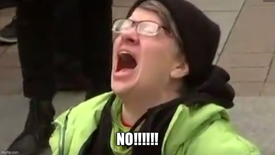 Screaming Liberal  | NO!!!!!! | image tagged in screaming liberal | made w/ Imgflip meme maker