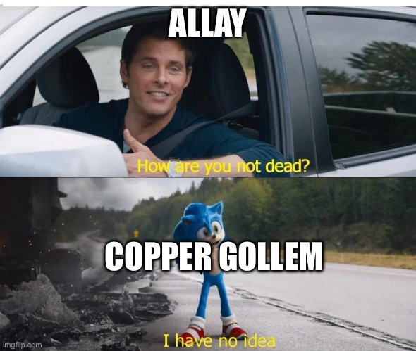 sonic how are you not dead | ALLAY; COPPER GOLLEM | image tagged in sonic how are you not dead | made w/ Imgflip meme maker