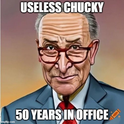Chuck Schumer | USELESS CHUCKY; 50 YEARS IN OFFICE | image tagged in political meme | made w/ Imgflip meme maker