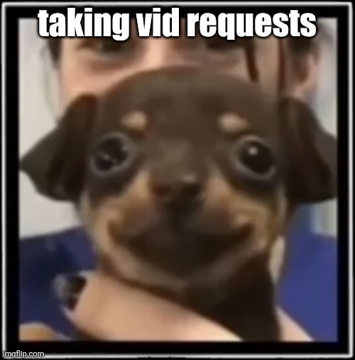 :) | taking vid requests | made w/ Imgflip meme maker