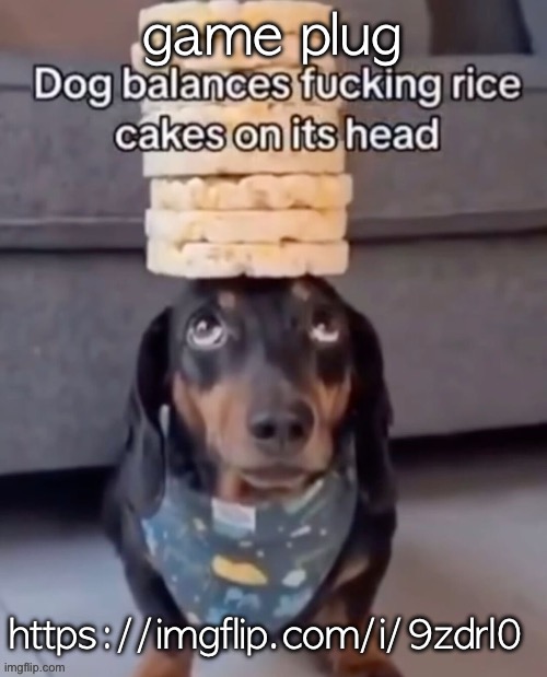 Dog balances rice cakes on its head | game plug; https://imgflip.com/i/9zdrl0 | image tagged in dog balances rice cakes on its head | made w/ Imgflip meme maker