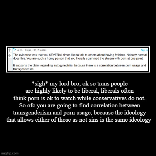 *sigh* my lord bro, ok so trans people are highly likely to be liberal, liberals often think porn is ok to watch while conservatives do not. | image tagged in funny,demotivationals | made w/ Imgflip demotivational maker