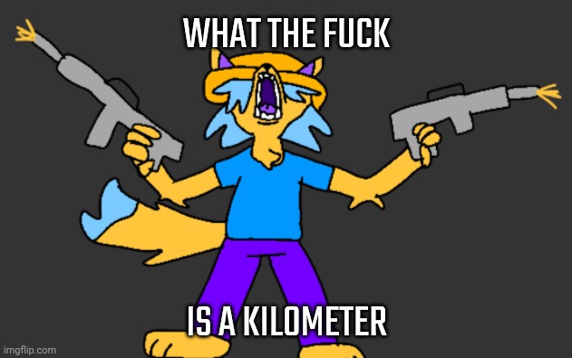Fourth of July mother fuckers | WHAT THE FUCK; IS A KILOMETER | made w/ Imgflip meme maker
