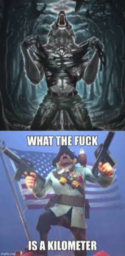 image tagged in sigma lone wolf,what the fuck is a kilometer tf2 | made w/ Imgflip meme maker