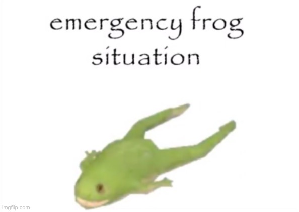 Emergency frog situation | image tagged in emergency frog situation | made w/ Imgflip meme maker