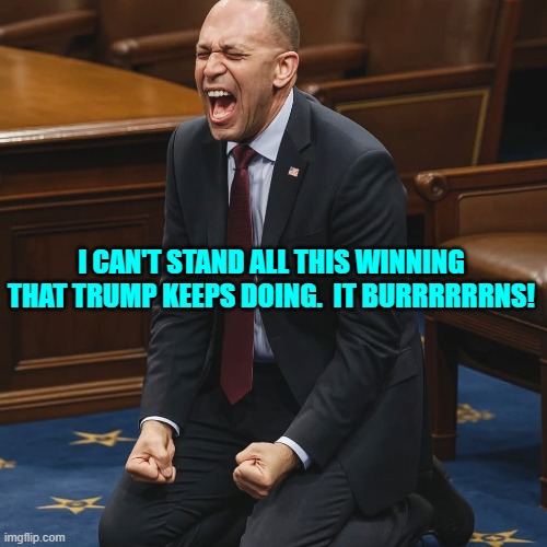 Now tell us how you REALLY feel Hakeem. | I CAN'T STAND ALL THIS WINNING THAT TRUMP KEEPS DOING.  IT BURRRRRRNS! | image tagged in hakeem jeffries | made w/ Imgflip meme maker