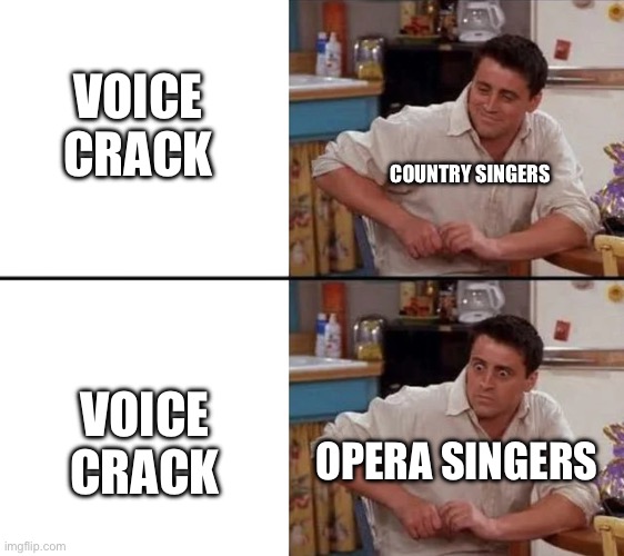 Surprised Joey | VOICE CRACK; COUNTRY SINGERS; VOICE CRACK; OPERA SINGERS | image tagged in surprised joey,music | made w/ Imgflip meme maker