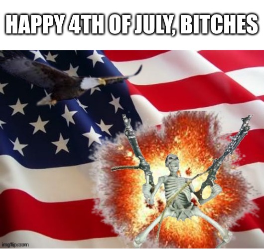 AMERICA!!!!!!!!!!!!!!!!!!!!!!!!!! | HAPPY 4TH OF JULY, BITCHES | image tagged in america | made w/ Imgflip meme maker