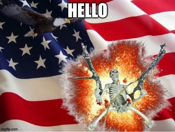 AMERICA!!!!!!!!!!!!!!!!!!!!!!!!!! | HELLO | image tagged in america | made w/ Imgflip meme maker